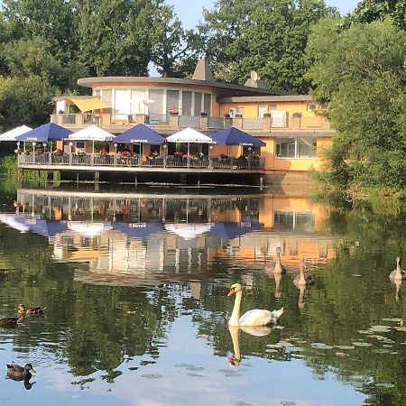 Pension am See Torgau Bagian luar foto