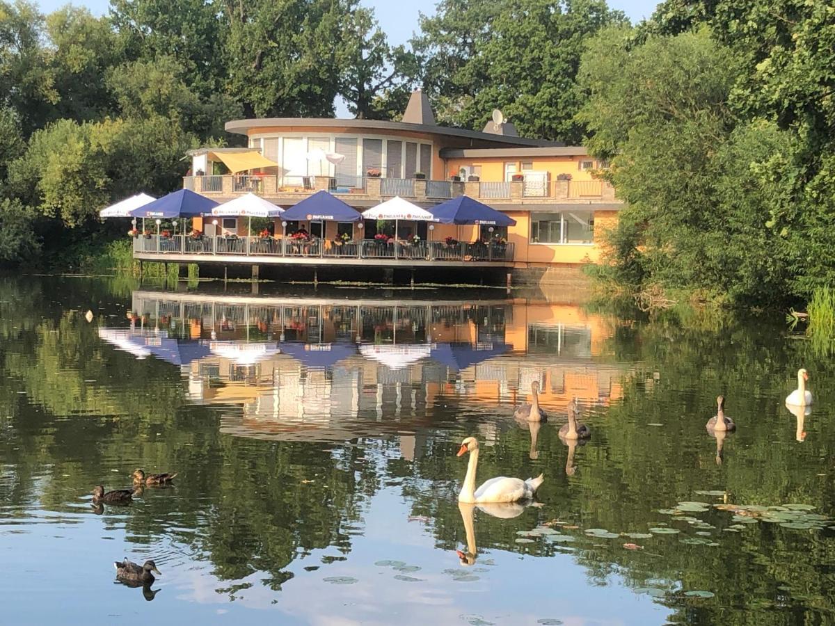 Pension am See Torgau Bagian luar foto